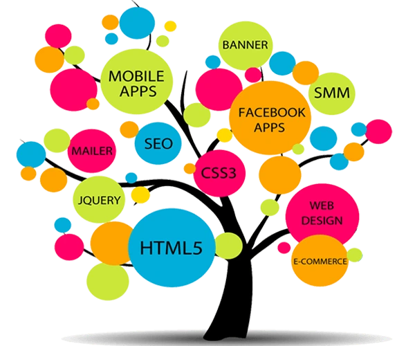 web development company in Paldi