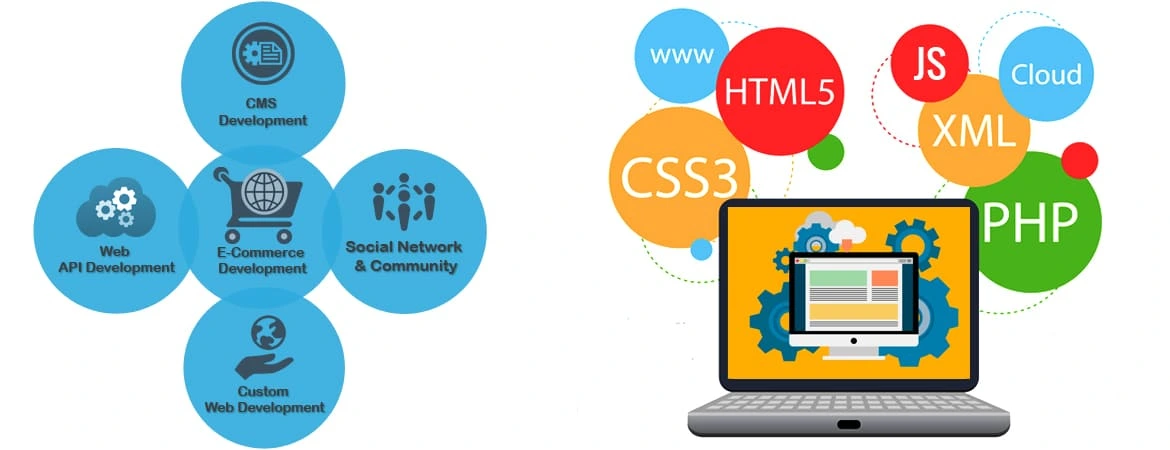 website development company in paldi