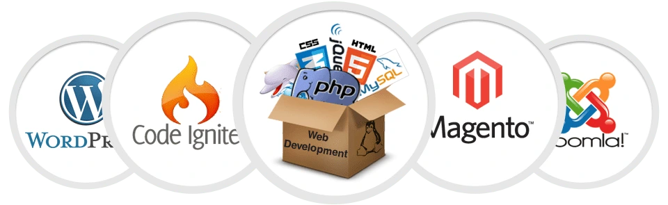 web development company in paldi