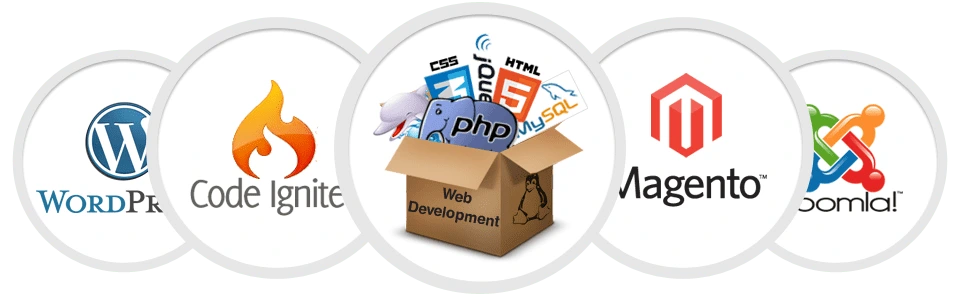 web development company in Gujarat